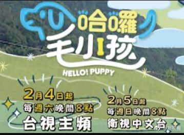 哈啰！毛小孩