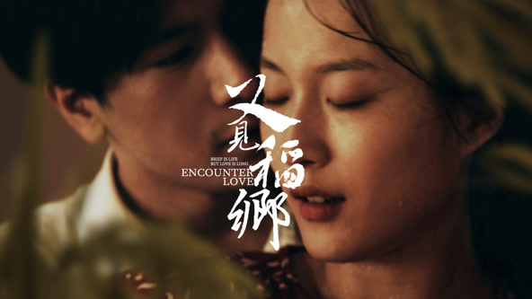 又見(jiàn)稻鄉